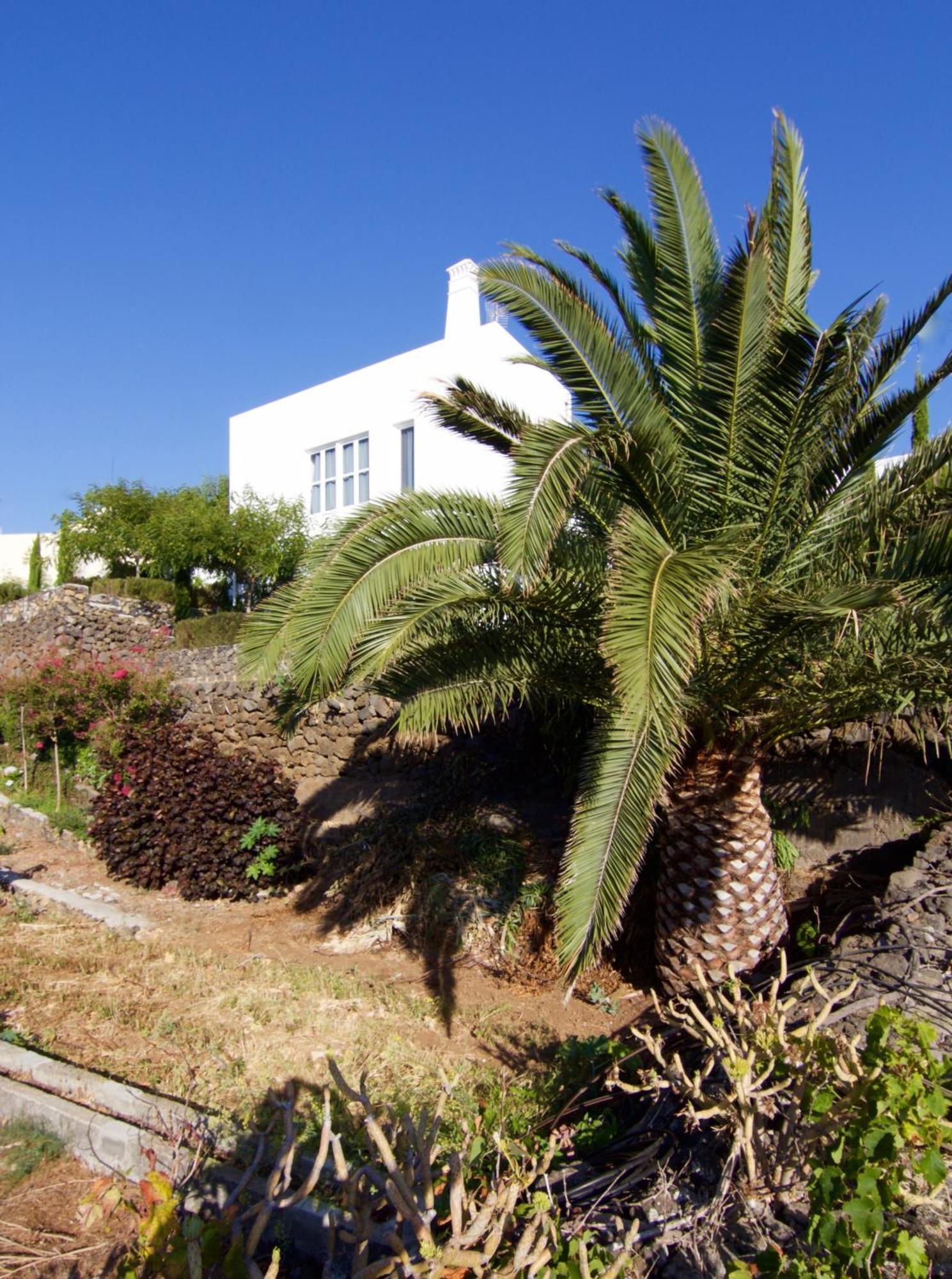 Casa La Brena La Palma Villa Breña Baja Eksteriør bilde